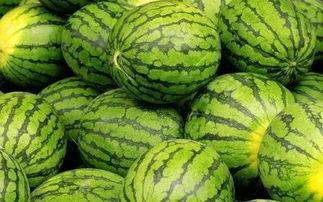 吃瓜网免费官网,畅享海量资讯，轻松获取娱乐热点